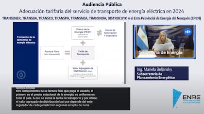 La subsecretaria de Planeamiento Energético, Mariela Beljansky, expuso en la audiencia pública para definir las tarifas de transporte eléctrico
