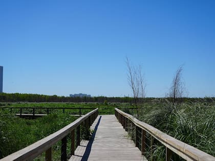 La superficie del parque natural es de 350 hectáreas