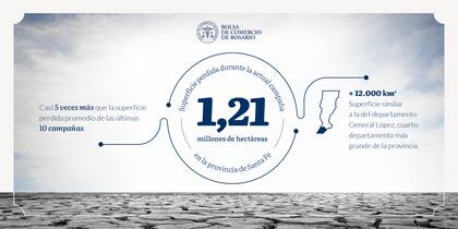La superficie perdida durante la actual campaña en la provincia de Santa Fe