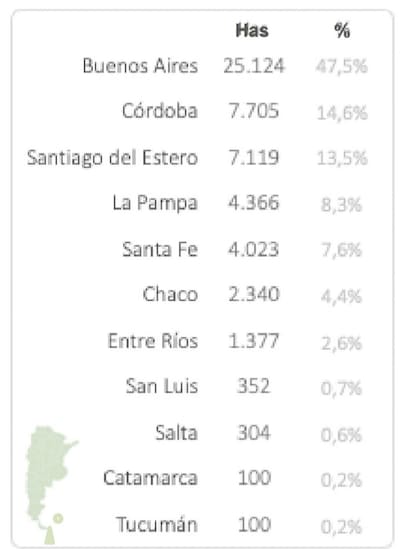 La superficie sembrada con el trigo transgénico por provincias