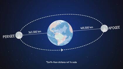 La superluna de cosecha será este martes 17 de septiembre; es el momento del año en donde el satélite natural está más cerca de la tierra