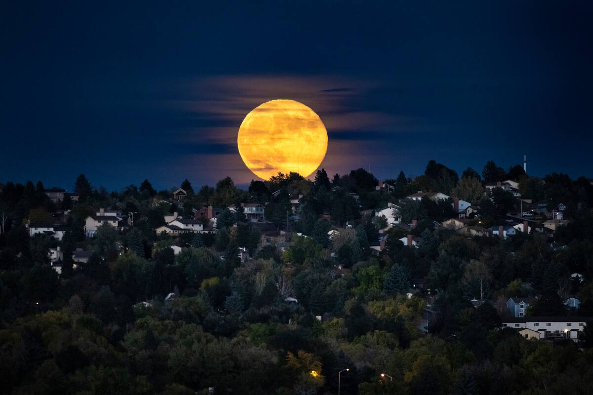 La Superluna, la Luna más grande y brillante del año, se eleva sobre un vecindario, el 17 de octubre de 2024, en Colorado Springs, Colorado. (Parker Seibold/The Gazette vía AP)
