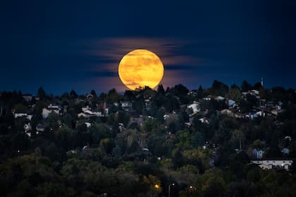 La Superluna, la Luna más grande y brillante del año, se eleva sobre un vecindario, el 17 de octubre de 2024, en Colorado Springs, Colorado. (Parker Seibold/The Gazette vía AP)