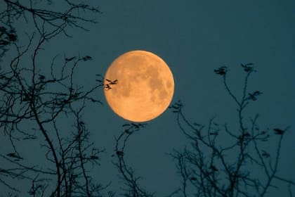 La Superluna o Luna del Castor será una de las más grandes que se podrán ver en Estados Unidos durante el mes de noviembre (Pexels/BüşraTaşkın)
