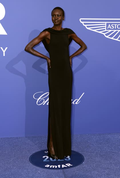 La supermodelo Alek Wek también estuvo presente en el evento benéfico