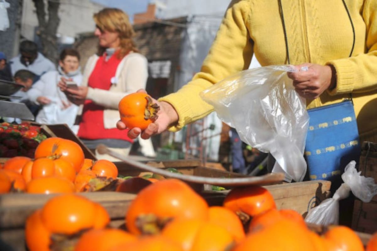 La superposición de impuestos castiga a productores y consumidores.