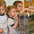 Cómo una escuela de Córdoba quedó entre las diez mejores del planeta