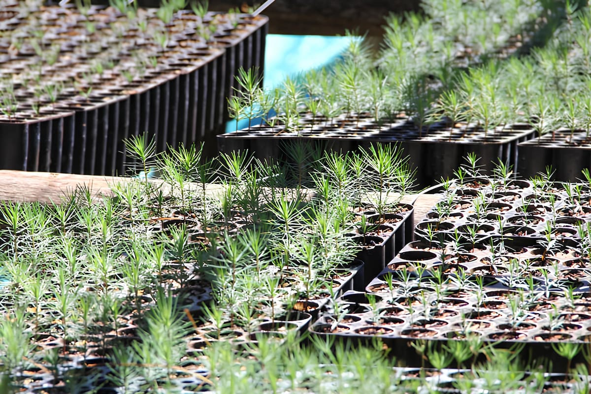 La sustentabilidad debe ser la clave del negocio