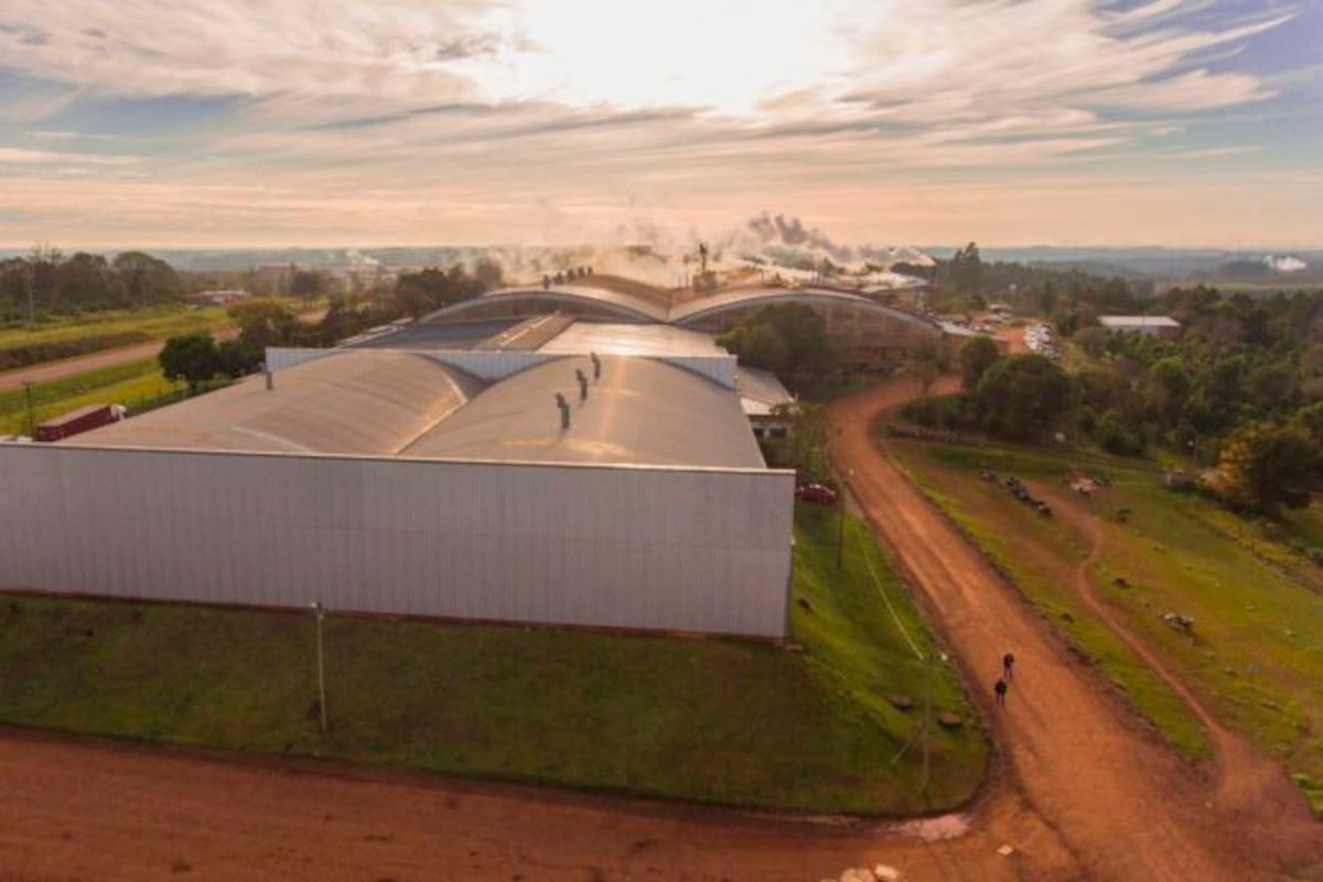 La tabacalera invirtió US$4 millones para incursionar en el negocio de la yerba mate. Gentileza Florencia Goncalves