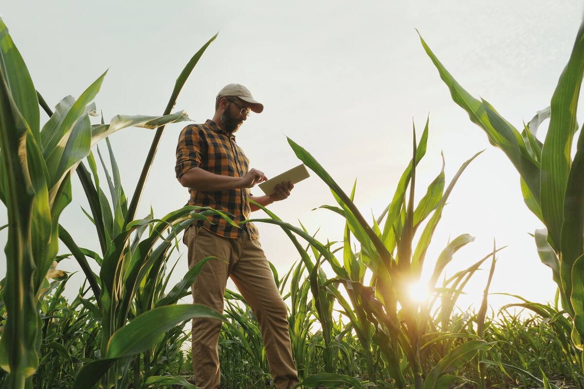 La tecnología, aliada de la producción