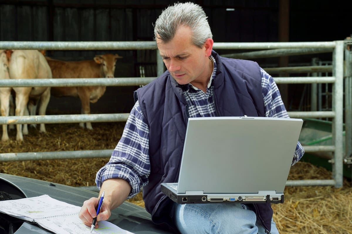 La tecnología apunta a ayudar en la realización de procesos