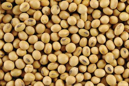 La tecnología ha cambiado y se necesita una nueva ley