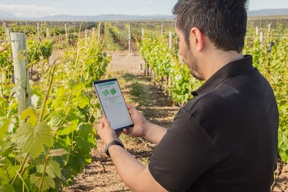 La tecnología optimiza el riego y la empresa capacita a productores