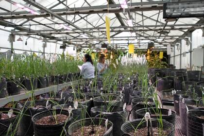 La tecnología permite llegar más rápido al mercado