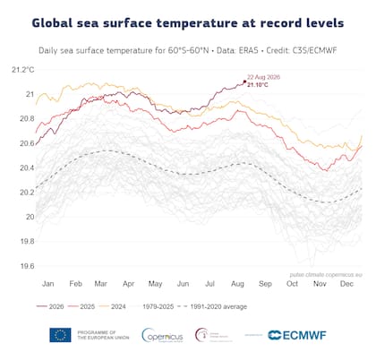 La temperatura diaria promedio de la superficie del mar alcanzó los 21,1°C el 22 de agosto y superó el récord registrado en marzo de 2024