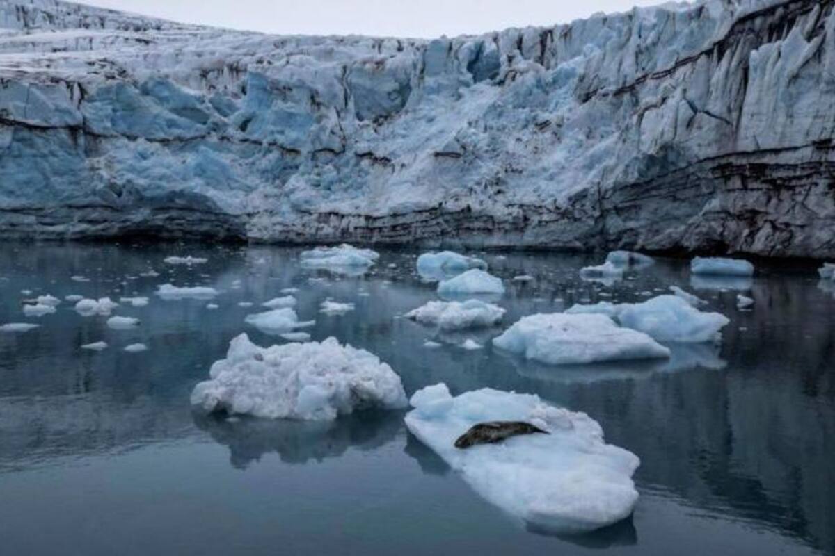 La temperatura en la Antártica están aumentando a una velocidad considerable.