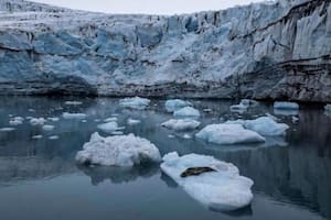 La temperatura en la Antártica están aumentando a una velocidad considerable.