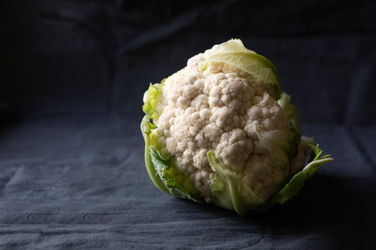 La temperatura es una de las claves para su cultivo