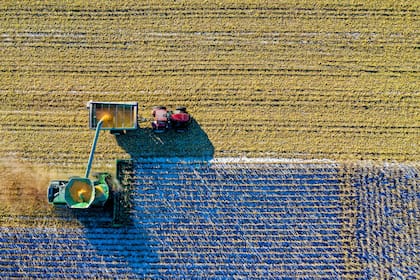 La temporada de cosecha en Norteamérica se desarrolla durante el otoño (Pexels/Tom Fisk)