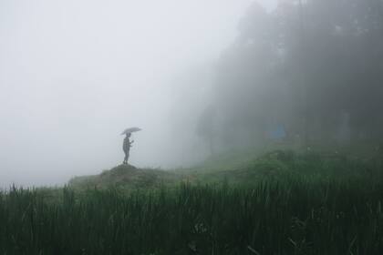 La temporada de monzones está por comenzar, y estas son algunas consideraciones que deberías tomar en cuenta. Foto: Canva