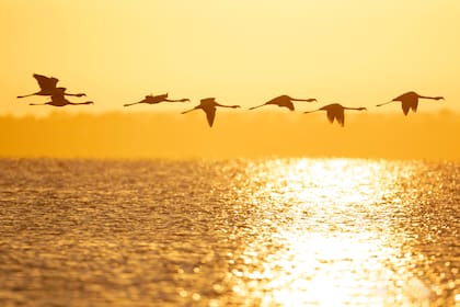 La temporada de verano superó todas las expectativas en la provincia de Córdoba