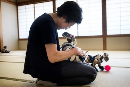 La tendencia a establecer lazos emocionales con robots abre preguntas inquietantes sobre la sociabilidad actual