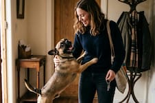 Los expertos en mascotas coinciden: “Cada vez más personas ven a sus perros como miembros vitales de la familia”