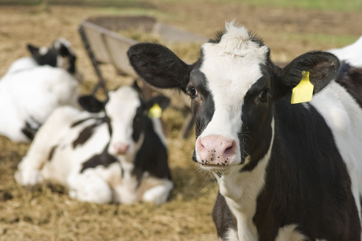 La tendencia que se da en EE.UU. tiene impacto sobre la actividad