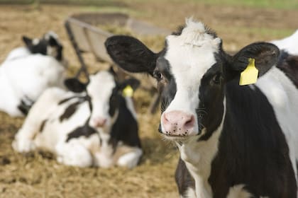 La tendencia que se da en EE.UU. tiene impacto sobre la actividad