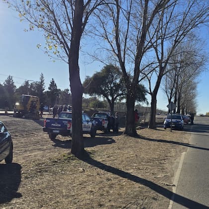 La tensión por el traslado del quebracho alcanzó su máximo punto ayer martes