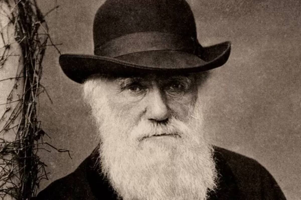 La teoría de la evolución por selección natural de Darwin cambió la forma en que pensamos sobre el mundo natural