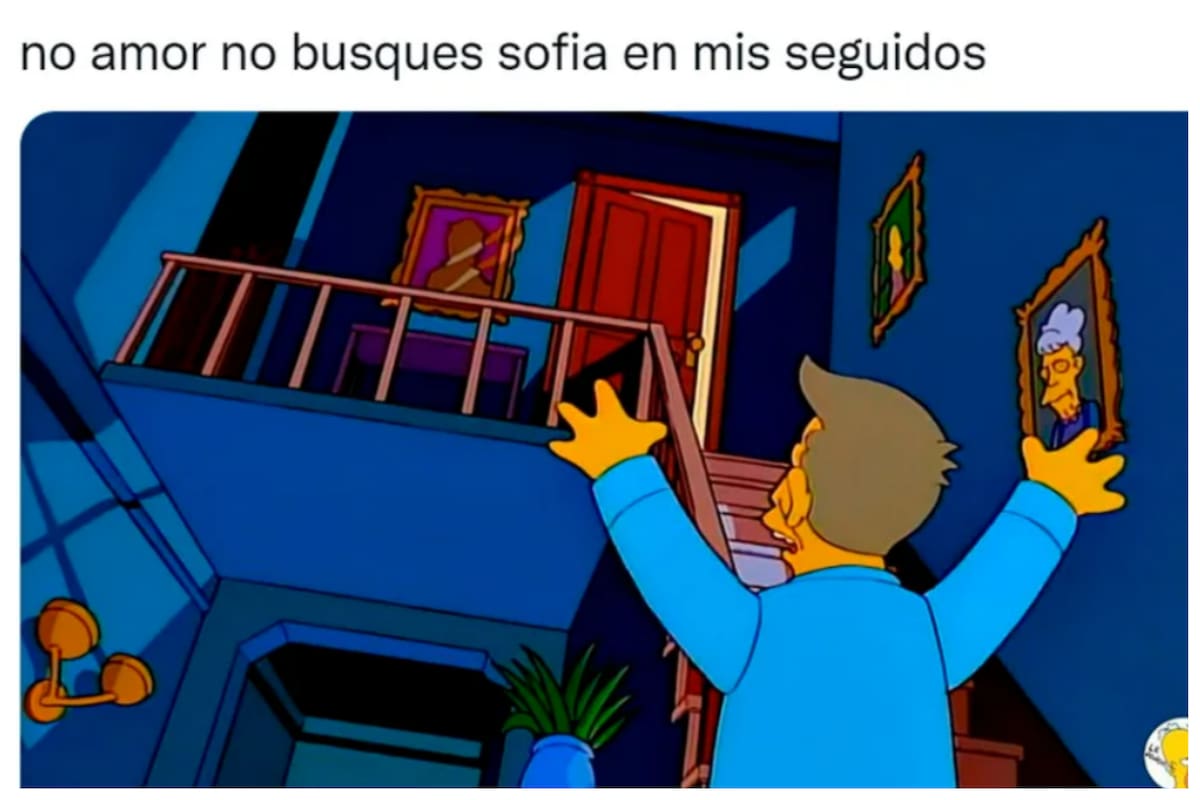 La teoría de "Las 12 Sofías" revolucionó las redes, donde se generaron muchos memes al respecto