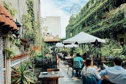 La terraza cuenta con más de 500 tipos de plantas.