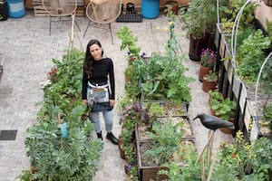 La terraza se puede convertir en el centro de abastecimiento de la casa