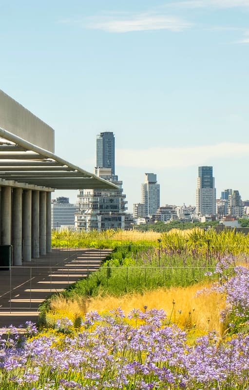 La terraza verde en el piso 11 que proporcionan refugio y alimento para polinizadores locales