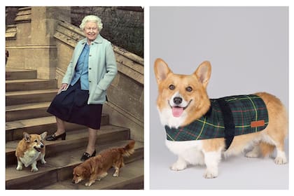 La tienda oficial de Buckingham vende accesorios para mascotas inspirados en la reina