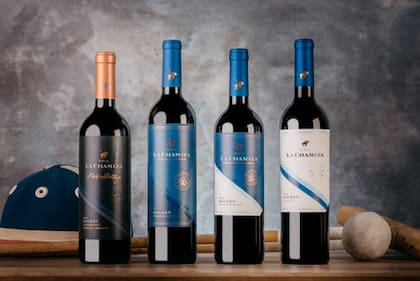 La tienda online de esta bodega mendocina tiene hallazgos propios y de otras empresas