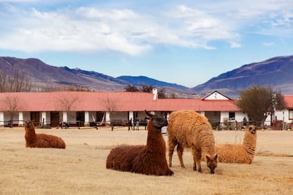 La típica fachada colonial de la estancia Los Cuartos