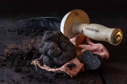 La típica pala para desenterrar las trufas de la tierra