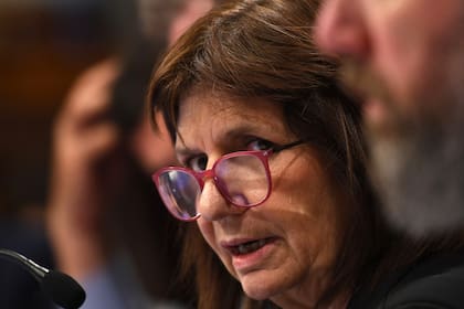 La titular de Pro, Patricia Bullrich, reconoce que "vivió" la violencia política en el pasado y le advierte al Presidente sobre los "peligros" de los "ataques" a la oposición.