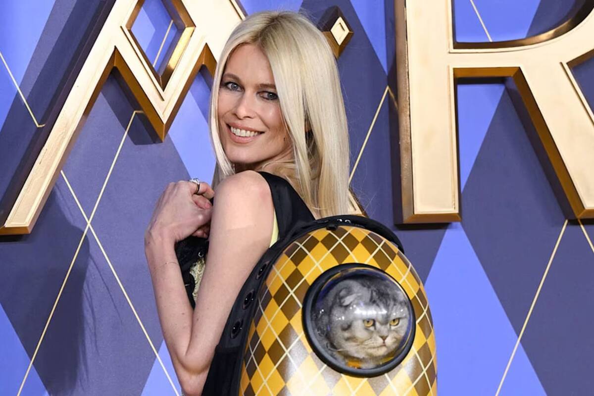 La top model apareció con su mochila trasportadora de gatos y sorprendió a todos
