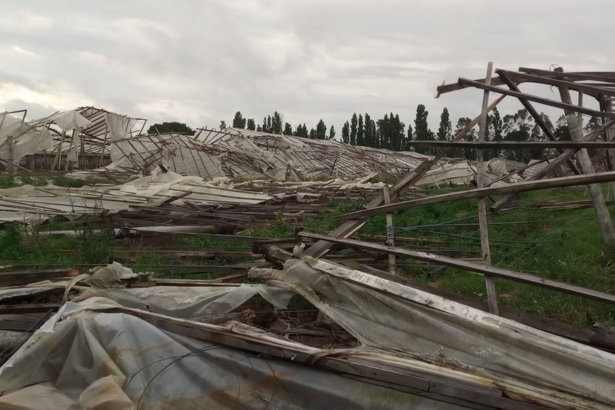 La tormenta de viento, agua y granizo arrasó con una región hortícola de Santa Fe