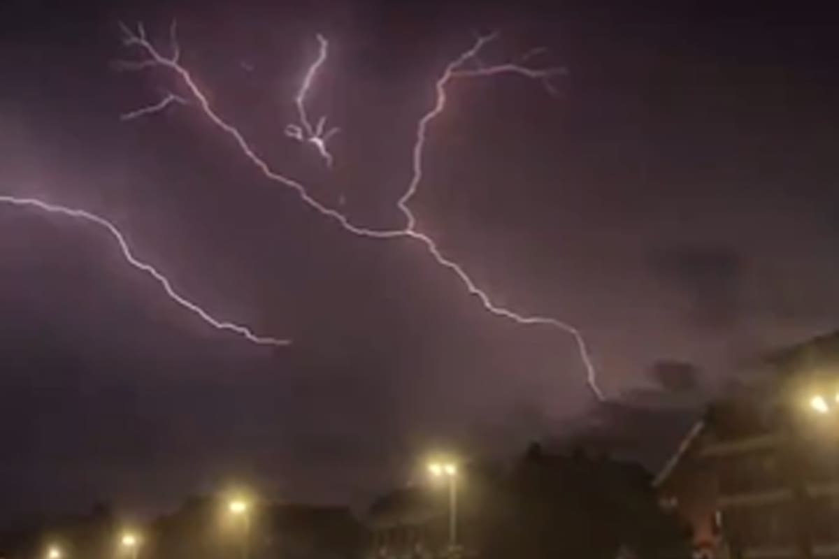 La tormenta dejó gran cantidad de árboles caídos en CABA y en la provincia de Buenos Aires