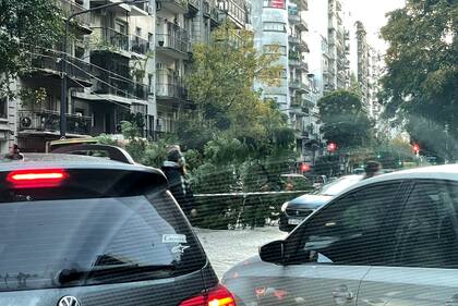 La tormenta dejó gran cantidad de árboles caídos en CABA: esto es en avenida Callao y Pacheco de Melo