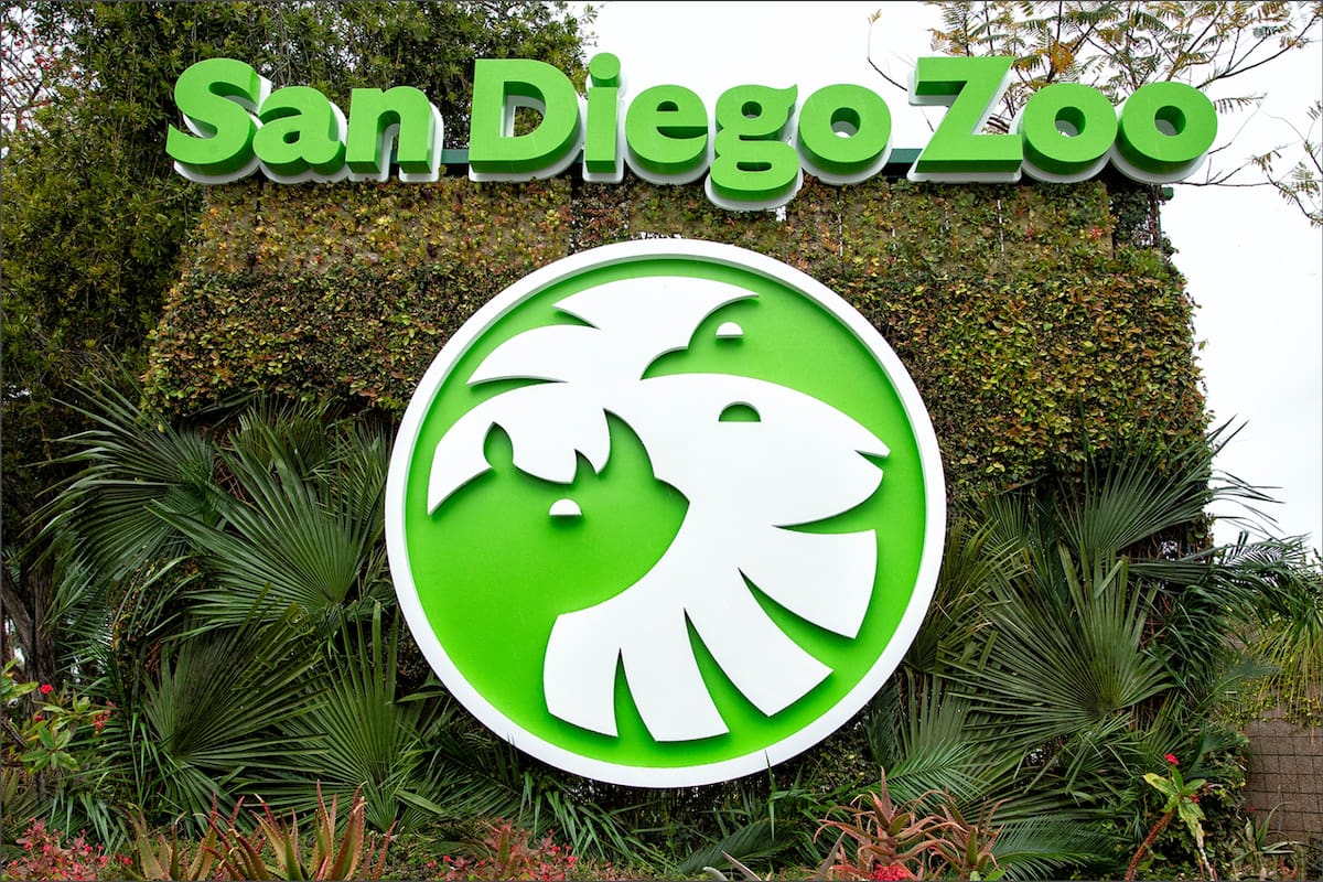 La tortuga Gramma vivió durante más de 90 años en el Zoológico de San Diego