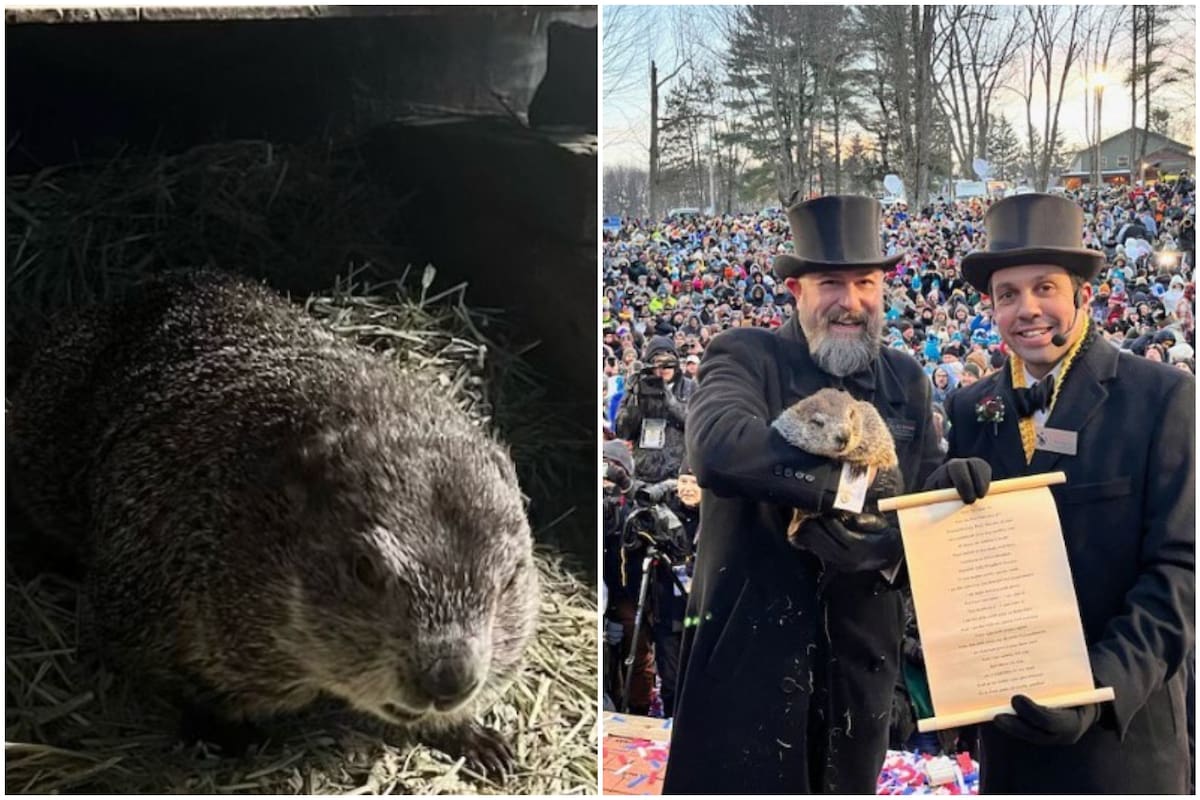 La tradición del clima en el Día de la Marmota se celebra desde el siglo XVIII