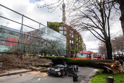 La trágica muerte se dio en frente al Museo Quai Branly.