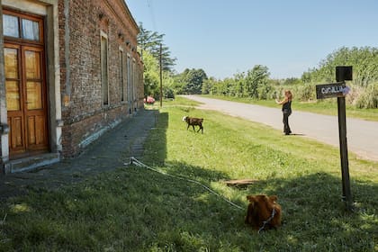 La tranquilidad de Villa Ruiz, pueblo del municipio de San Andrés de Giles