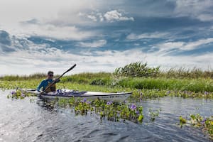 La travesía va desde Carambola hasta el puerto de Capivarí, con acampe y alojamiento en diferentes puntos de los esteros en los refugios de la Fundación Rewilding.