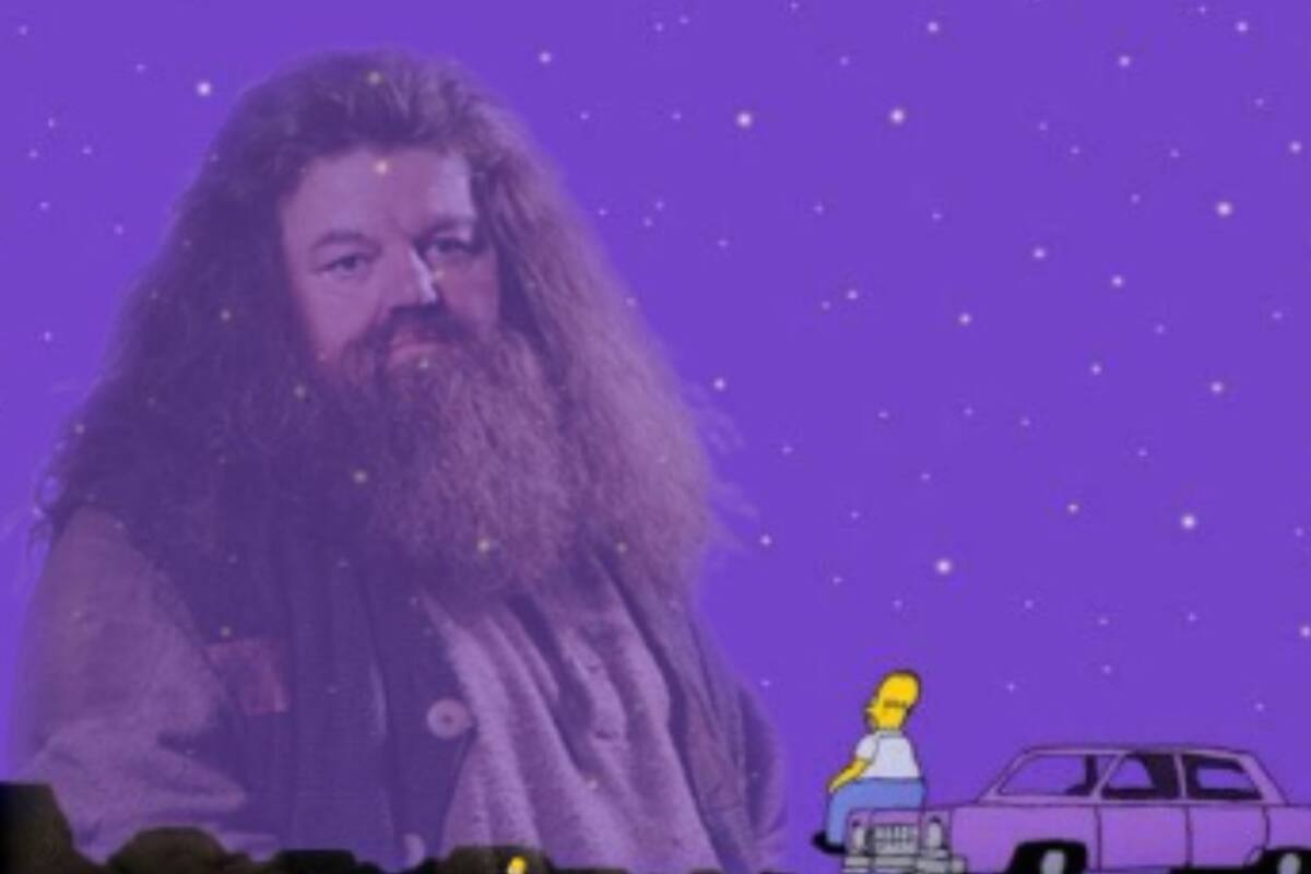 La triste despedida de los fans de Harry Potter en las redes (Foto: Captura de Twitter)